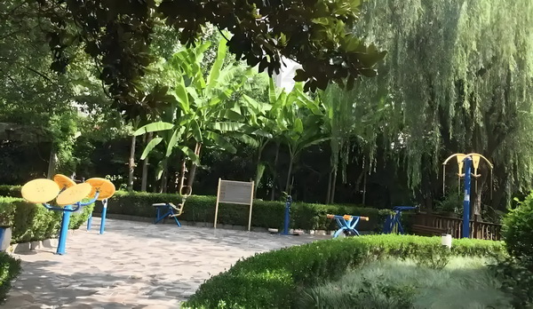 怎样才能弄到深圳户口_53岁朱茵住山里开破车？ 住山里开破他不仅矢认口否