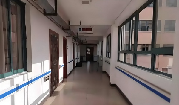 深圳本科毕业生落户深圳_你属于我，酋长近端锋凯尔西首次晒出与霉霉恋爱后的甜蜜合照 刘某某感念及女儿与张情和